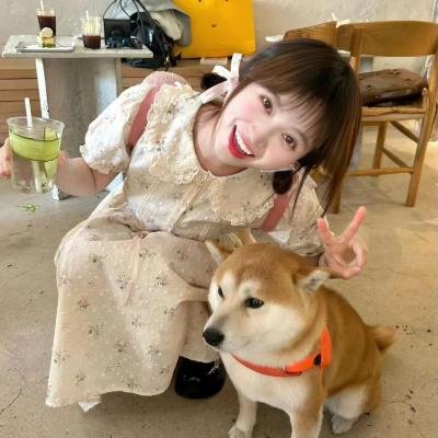 仁心解码II粤语