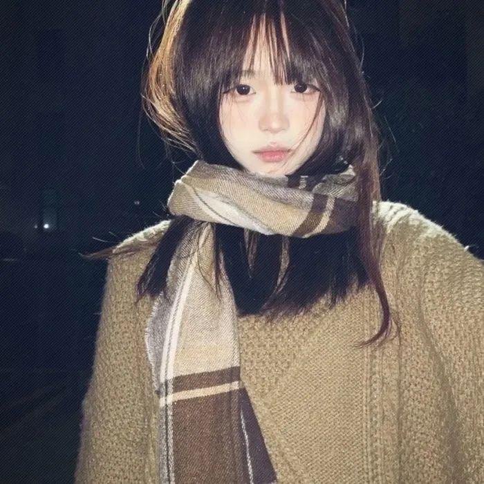 陈毅市长